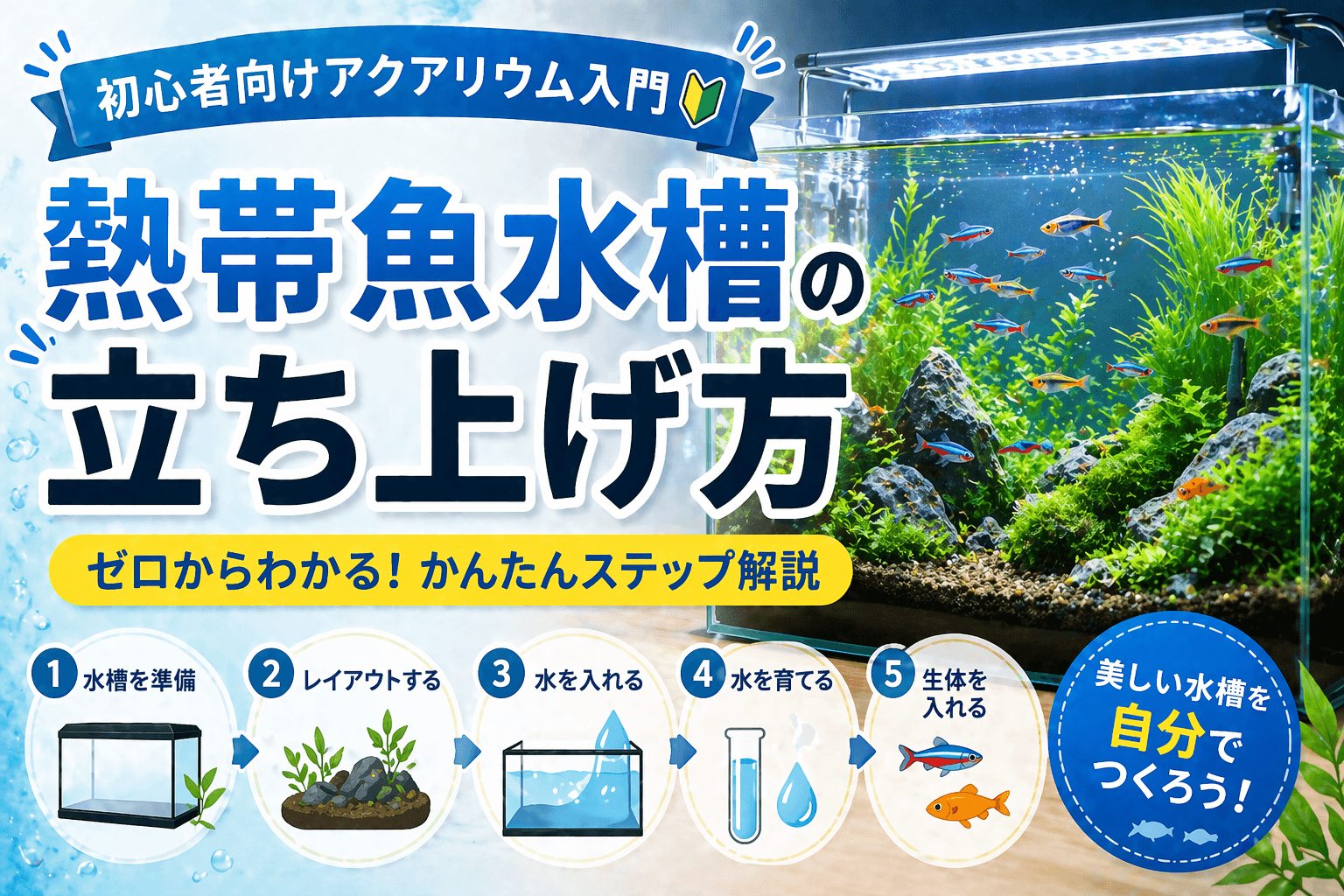 熱帯魚水槽の立ち上げ方|初心者向けアクアリウム入門